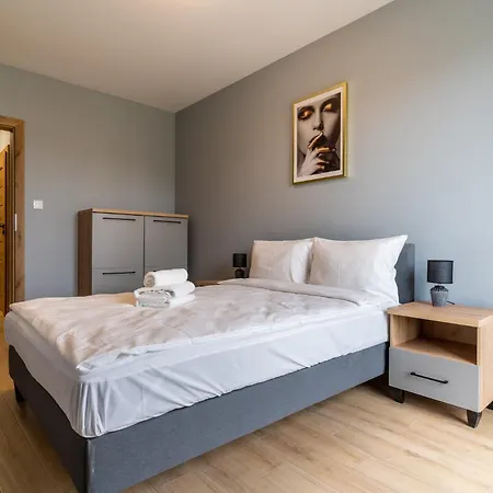 Raciborska Comfort Apartment Katowice